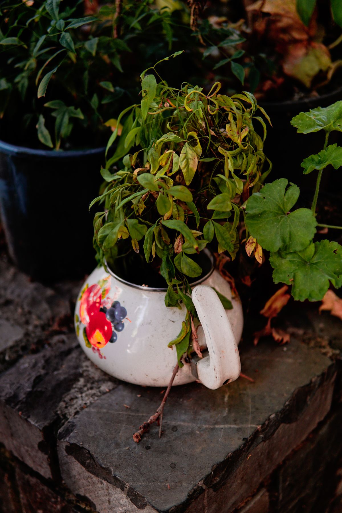 ストーンウェアの植木鉢
